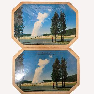 Vintage 1953 Yellowstone National Park Souvenir trivets hot pads NIP Collectible